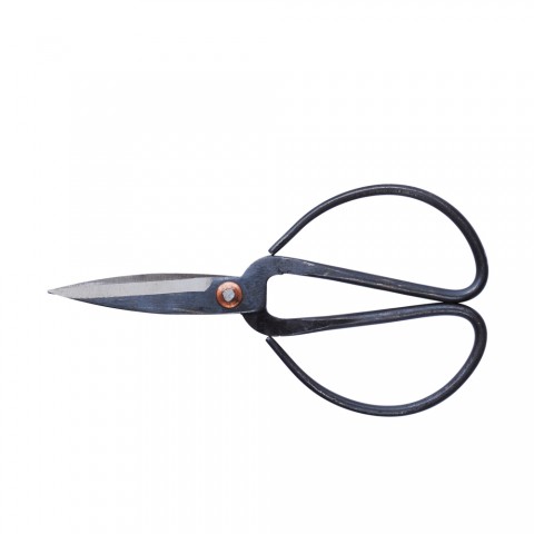 Kitchen-Scissors-L20-1000px